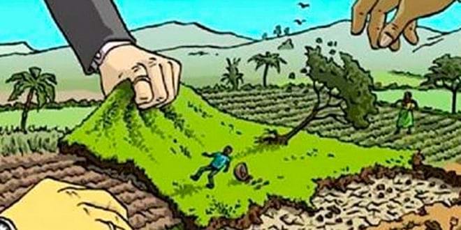 kèo nhà cái trực tuyến