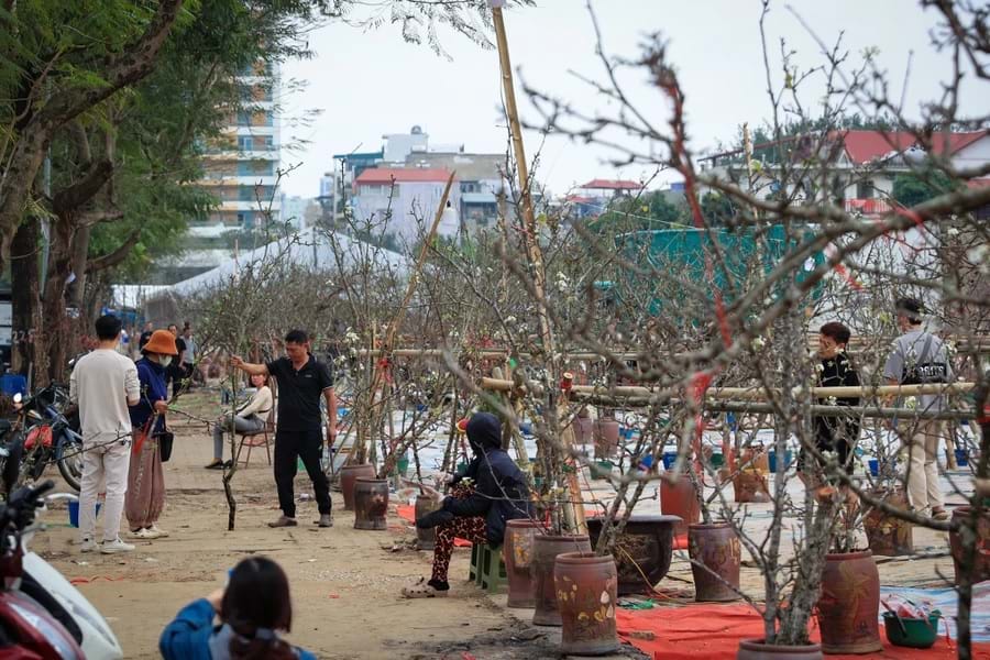kèo nhà cái trực tiếp bóng đá