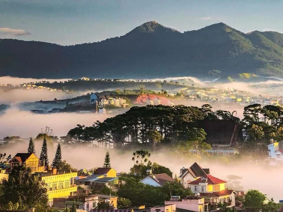 bóng đá trực tuyến kèo nhà cái
