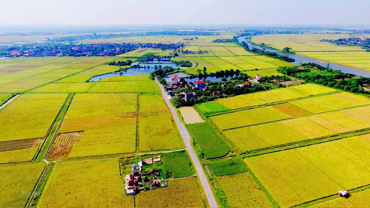 nhận định bóng đá kèo nhà cái 5
