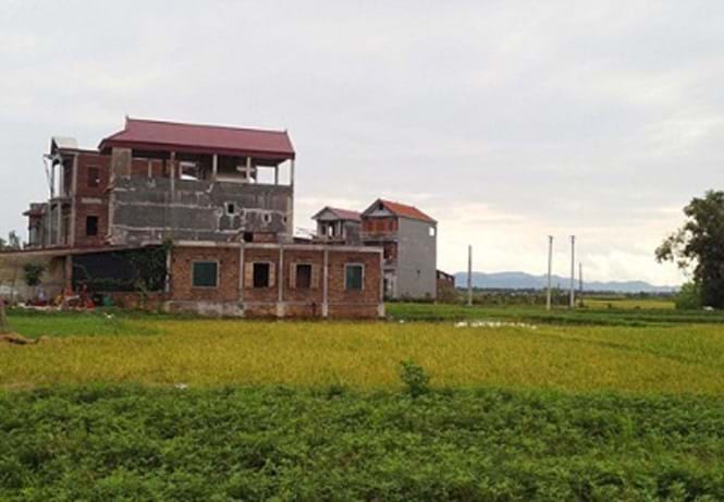 bóng đá trực tuyến kèo nhà cái
