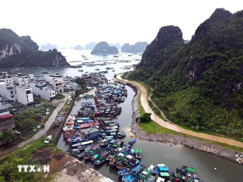 trực tiếp kèo nhà cái
