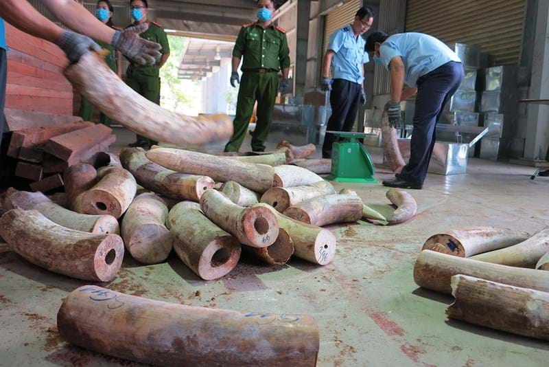 trực tiếp kèo nhà cái