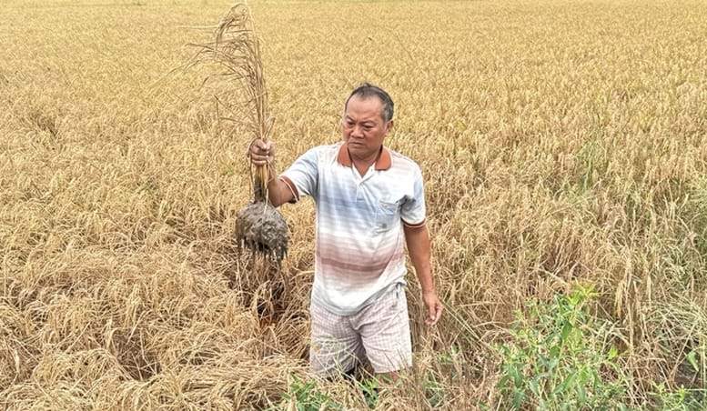 bóng đá trực tuyến kèo nhà cái