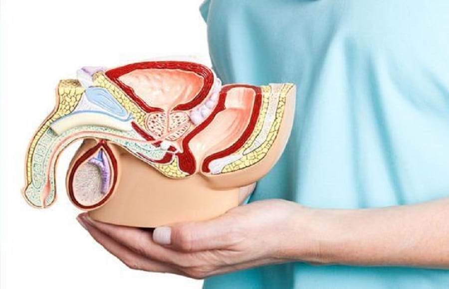 nhận định bóng đá kèo nhà cái 5