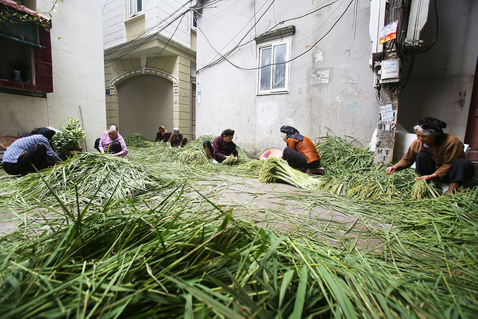 bóng đá trực tuyến kèo nhà cái