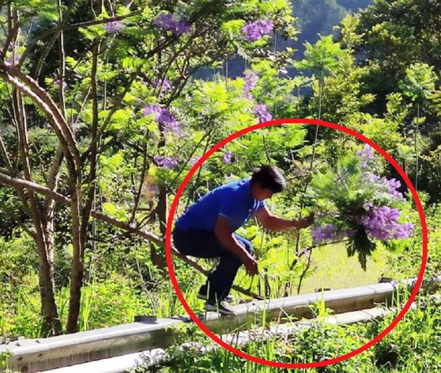 nhận định bóng đá kèo nhà cái 2