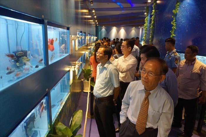 kèo nhà cái trực tiếp bóng đá
